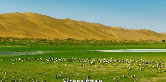 当我在追《牛奶是部文明史》,更懂特仑苏的格局从何而来_当我在追《牛奶是部文明史》,更懂特仑苏的格局从何而来_