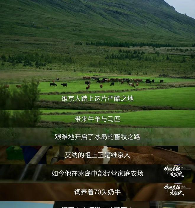 当我在追《牛奶是部文明史》 ,更懂特仑苏的格局从何而来__当我在追《牛奶是部文明史》,更懂特仑苏的格局从何而来