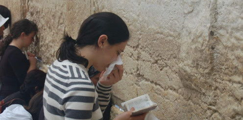 带你吃瓜_娱乐吃瓜君起源_汪峰娱乐新闻梗