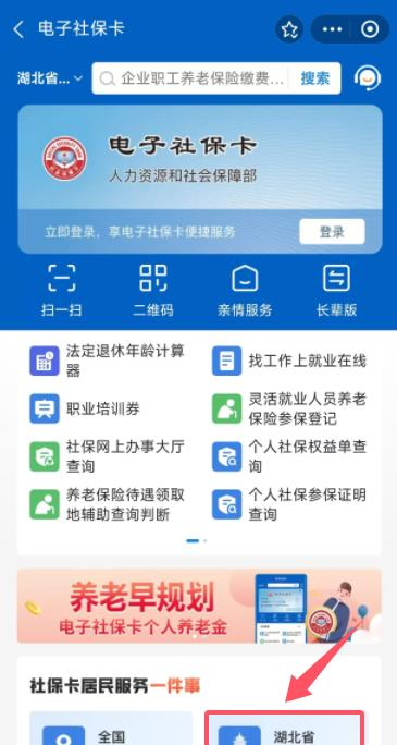 湖北退休认证网上如何办理_湖北省退休认证app_