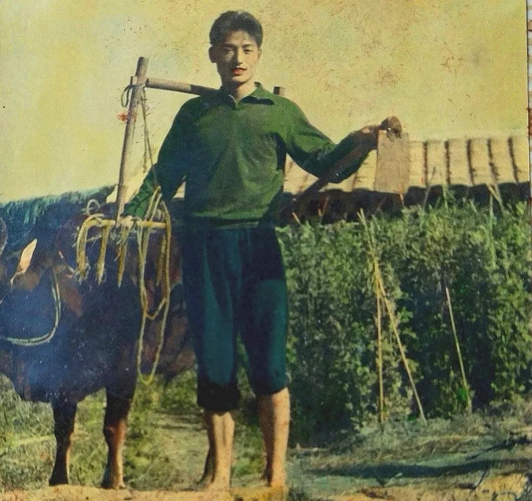 你叔当年看上我非要装知识分子,给我写的狗屁情诗能把人给恶心死__你叔当年看上我非要装知识分子,给我写的狗屁情诗能把人给恶心死