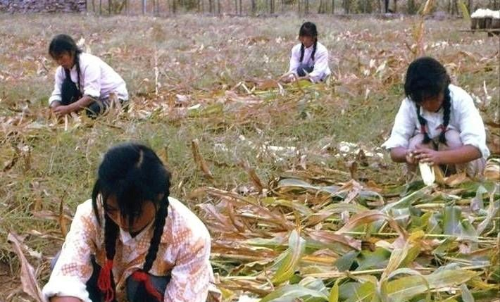 那年我才刚跟你爸定亲没多久,他说约我去玩没想到把我带到苞米地__那年我才刚跟你爸定亲没多久,他说约我去玩没想到把我带到苞米地