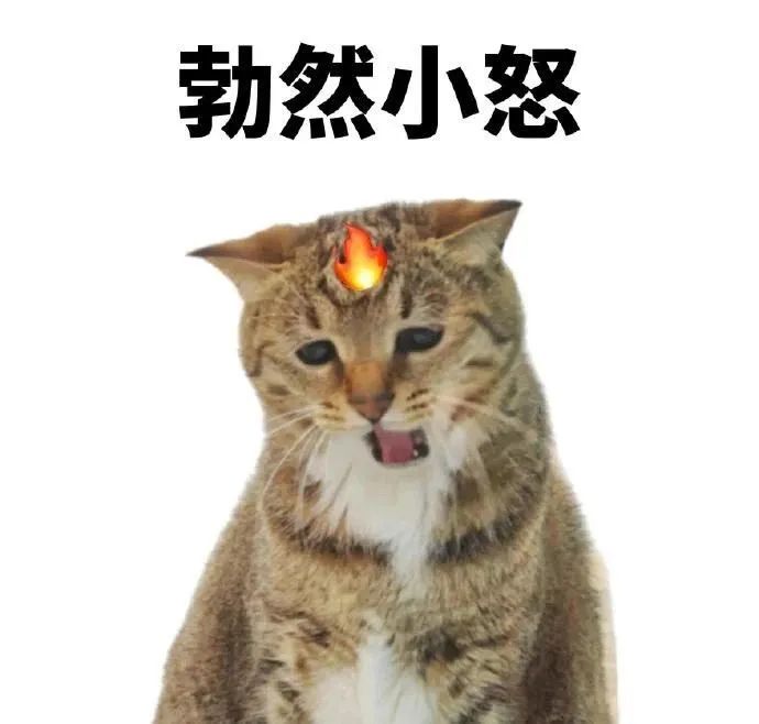 大哥豪刷20万要求女主播谈恋爱,遭到无情拒绝后要求退款,女主竟真退了大哥却不乐意了!