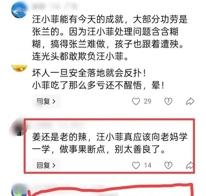 老辣妹是什么意思_辣妈团队纯手工姜糖膏_