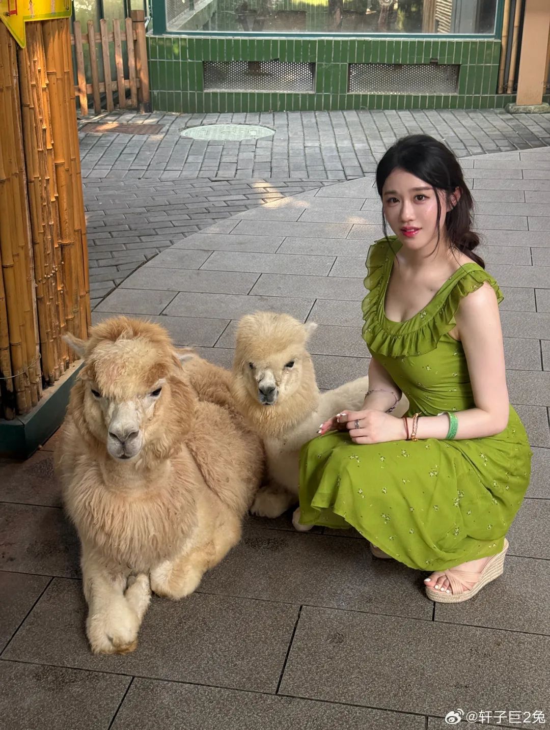 轩子巨2兔晒美照!网友锐评其靠擦边起号,轩子回应:直播你是一集没看,造谣你张嘴就来!