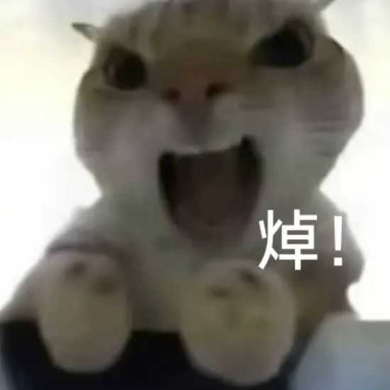 1千万不算财富自由！女主播称1千万太少，自己每月扔垃圾都要花费200元！找老公标准是要求未来老公，资产有很多个1千万！