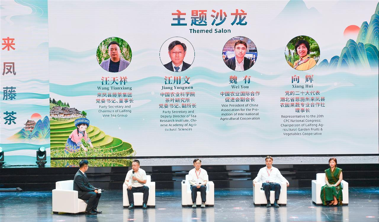 _来凤凤雅藤茶网站_来凤藤茶协会