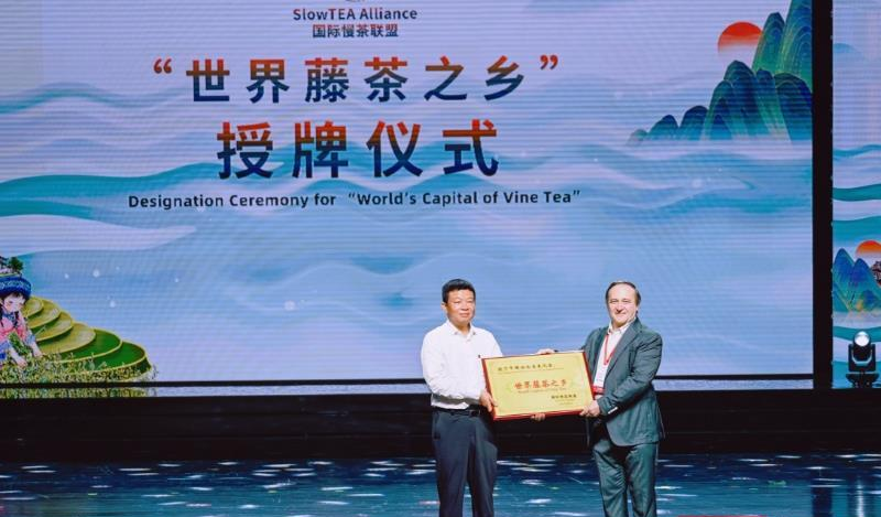 _来凤藤茶协会_来凤凤雅藤茶网站