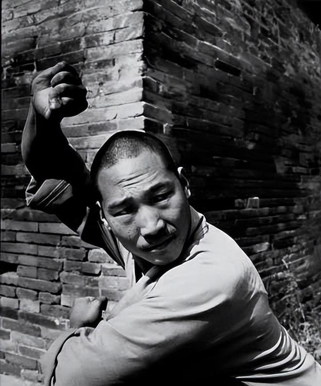 拔萝卜带出泥的意思_拔出萝卜带出泥歇后语_