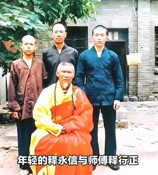 拔萝卜带出泥的意思__拔出萝卜带出泥歇后语