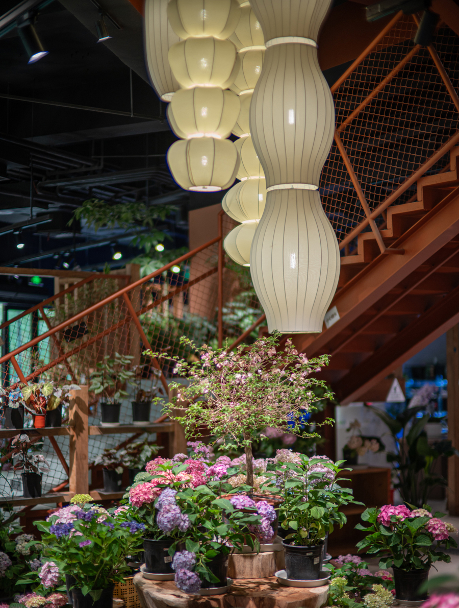 _品区·周末侃_品区·周末侃