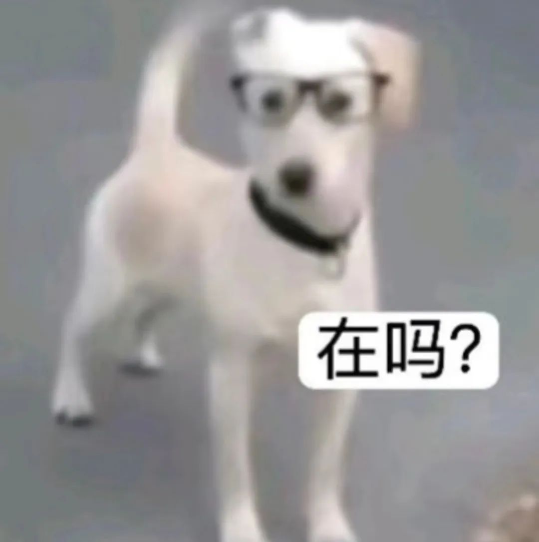 曾靠售卖写真集赚的盆满钵满,女主播清凉穿搭引来路人搭讪,网友调侃20元就想加主播??