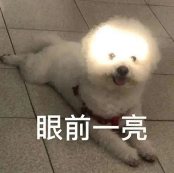 曾靠售卖写真集赚的盆满钵满,女主播清凉穿搭引来路人搭讪,网友调侃20元就想加主播??