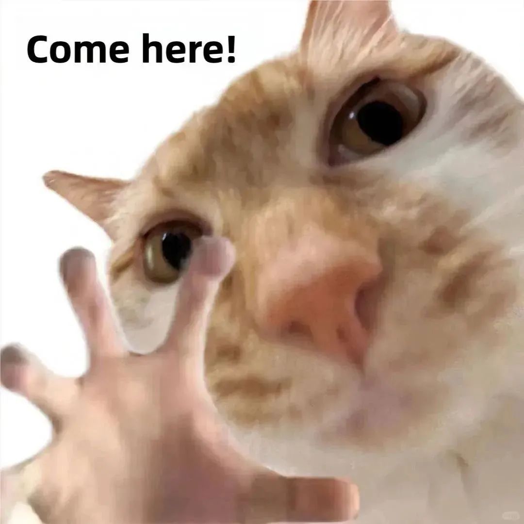 曾靠售卖写真集赚的盆满钵满,女主播清凉穿搭引来路人搭讪,网友调侃20元就想加主播??