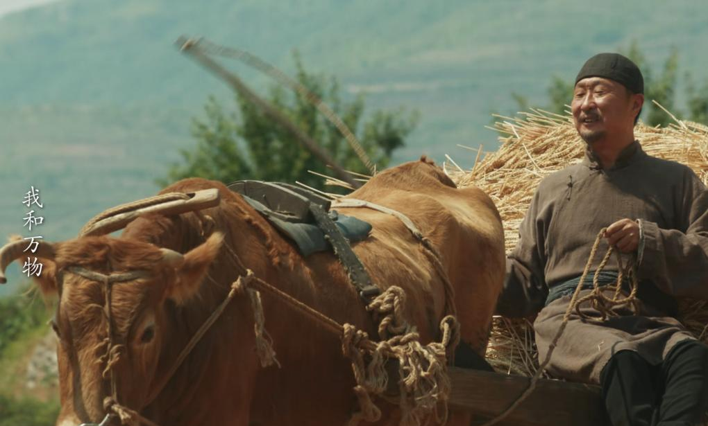 _万物苏是什么意思_小说封景牺牲什么意思