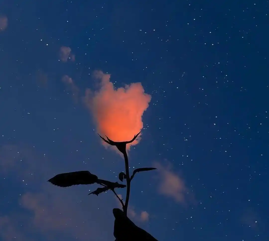 _背叛自己的男人_背叛一个男人有多可怕