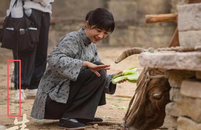 _今晚开播!主演阵容强大,年代剧又出王炸 ,《生万物》请靠边站_今晚开播!主演阵容强大,年代剧又出王炸,《生万物》请靠边站